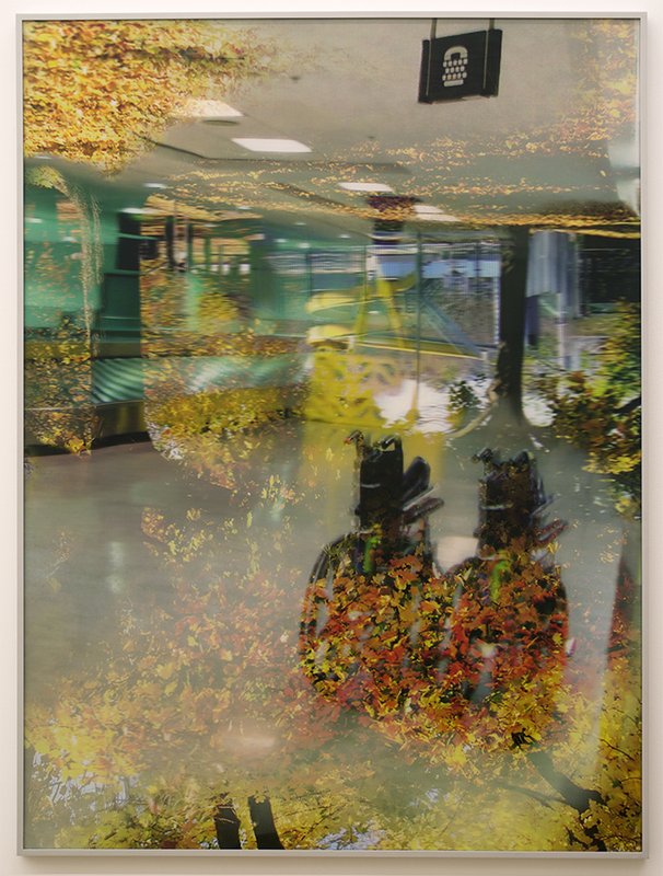 canada-nil-database-7_hfytahr