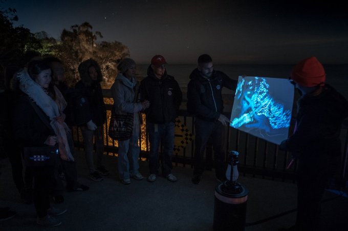 Sarah Fuller's Illuminations, Rouge Park, Toronto, 2017